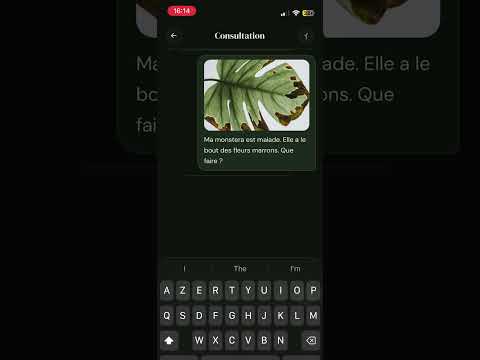 Florae video thumbnail