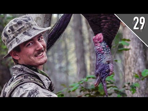 TAGGED OUT in KENTUCKY! - Lonely Afternoon Gobbler!