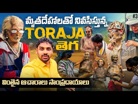 Toraja Dead Tribe | Strange Traditions | Sulawesi Indonesia 🇮🇩 | Uma Telugu Traveller