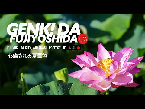 ［広報ふじよしだ］元気だ！ふじよしだ 2025年8月号　心癒される夏景色