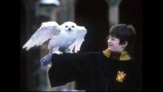 Harry Potter and the Sorcerer's Stone Soundtrack - 18. Leaving Hogwarts