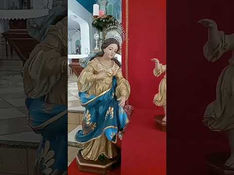 JMJ/Siriri-SE 😊❣️