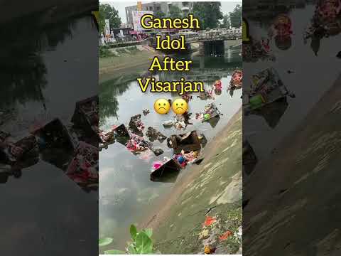 Who Clean Sea Beach and Rivers After Ganesh Ji Murti Visarjan is Done #shortsvideo
