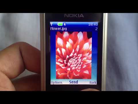 Nokia 6300 Pre-loaded Wallpapers