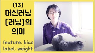 [13] 머신러닝에서 '러닝'의 의미 - Feature, label, weight, bias