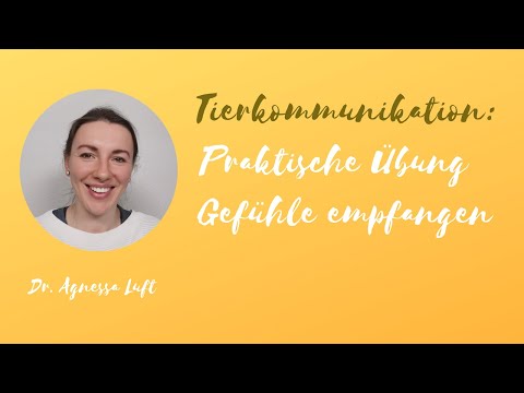 Tierkommunikation🐴  🐶  🐱 praktische Übung für dich 💕 Gefühle empfangen 💕 Wahrnehmungskanal 💕 Sinne