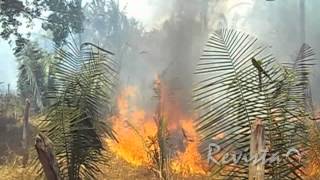 preview picture of video 'Incêndio devasta vegetação às margens do Rio Longá na divisa de Esperantina e Batalha'