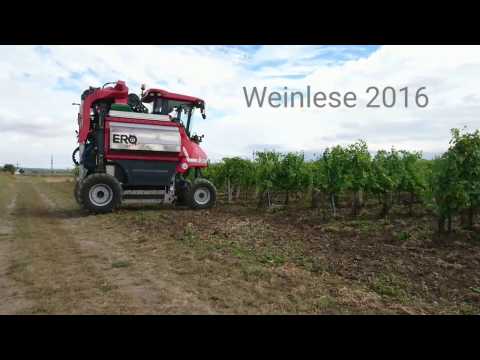 Weinlese 2016 - ERO SF200