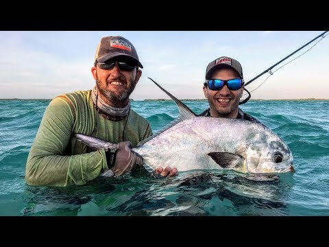 Permit en Los Roques, Venezuela