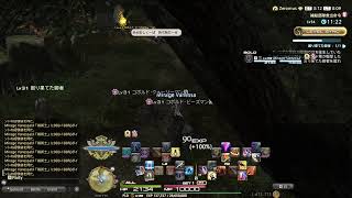 【FF14】IDやらいろいろやります（ノープラン）