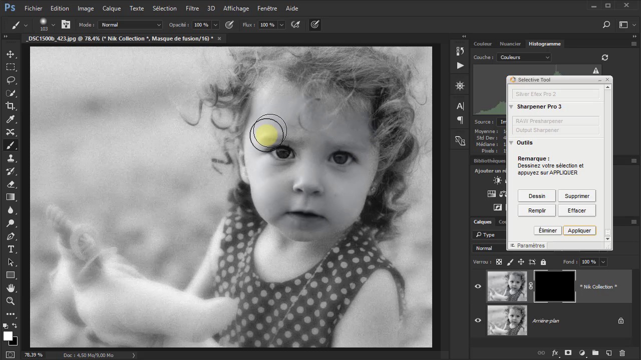 Nik Collection : Dfine 2 - Partie 3