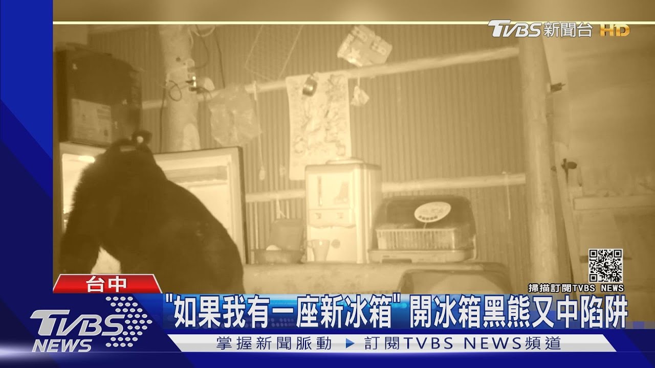「如果我有一座新冰箱」 開冰箱黑熊又中陷阱