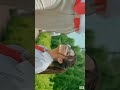 Alawantha Neth Wida Avneet Kaur Status Shorts Avneetkaur
