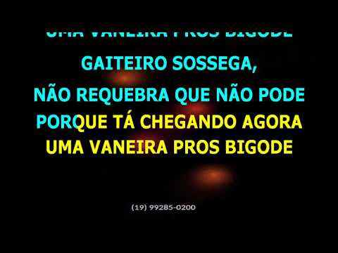 Portal Gaúcho • Vaneira pros bigode + Trancão de baile + Moda louca