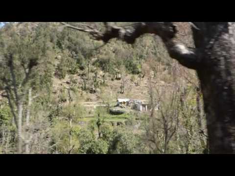 2017.03.15 Aboard the Toy Train from Shimla, Himachal Pradesh, India - 16