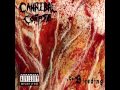 Cannibal corpse pulverized instrumental 