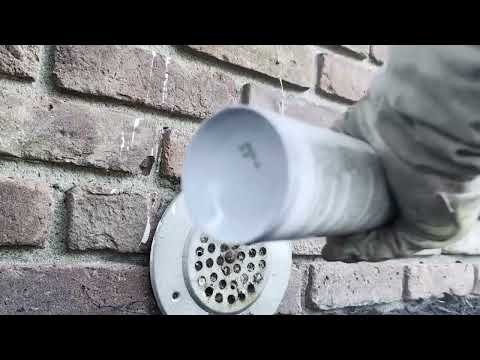 Drain Clogged with Yellow Jackets in New...