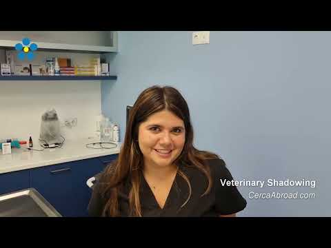 Veterinary Internship in Greece — video 3