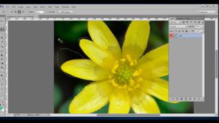 Photoshop seçim araç çubuğu, temel photoshop dersleri