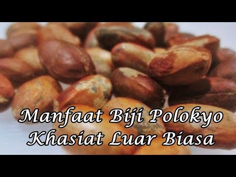 Pelangsing beberapa nasi Anda kehilangan berat badan dengan semacam tumbuhan