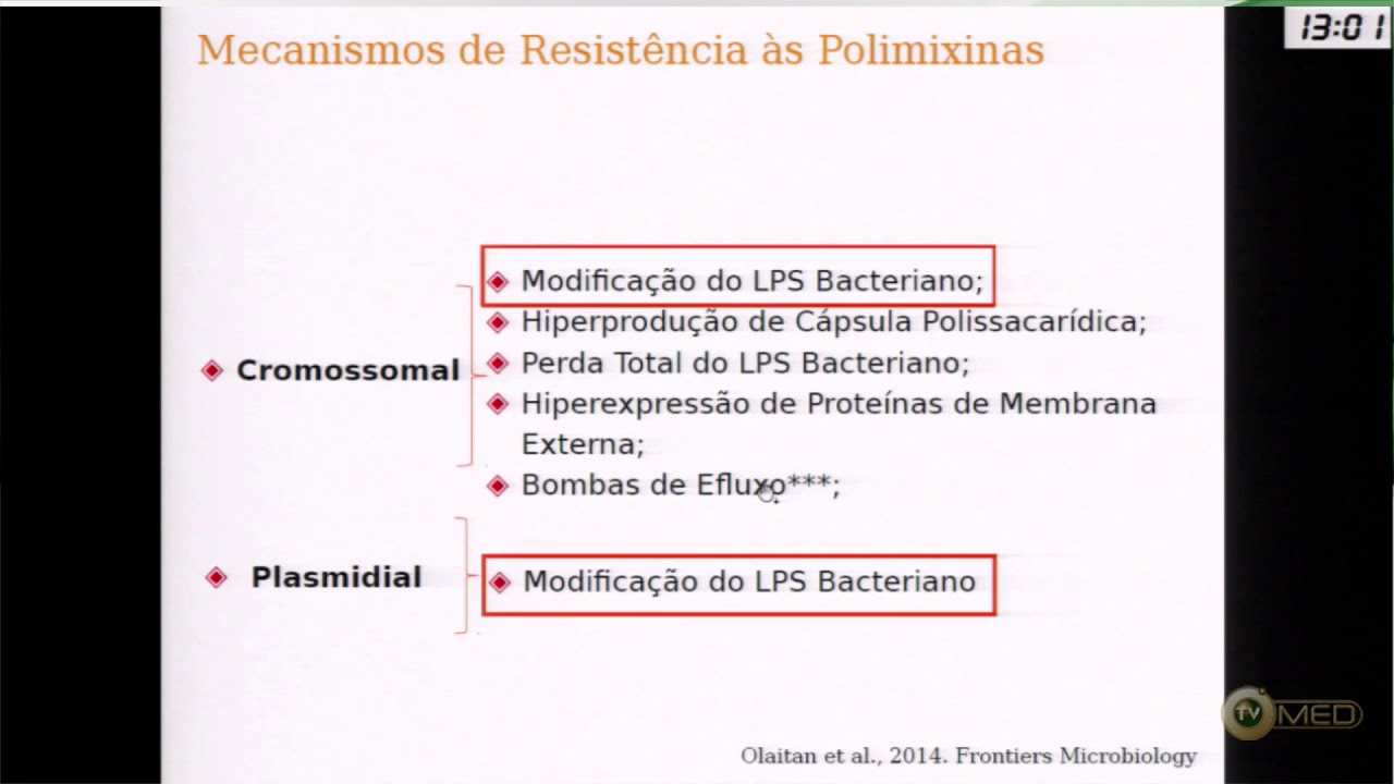 Epidemiologia e mecanismos de resistência s polimixinas