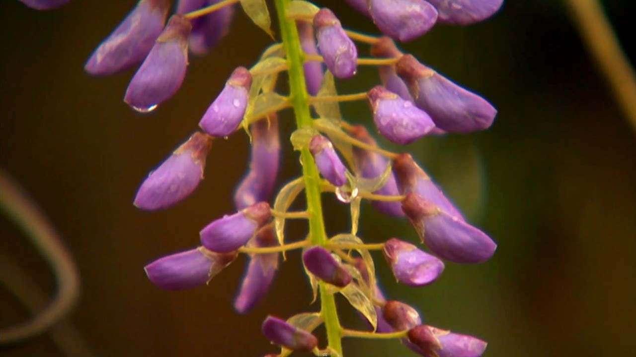 Principles of Design: From Shape to Rhythym | P. Allen Smith Classics