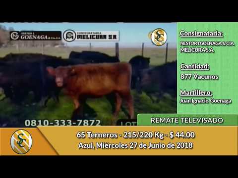 27-6-18- Remate Televisado de Nestor I  Goenaga - Azul