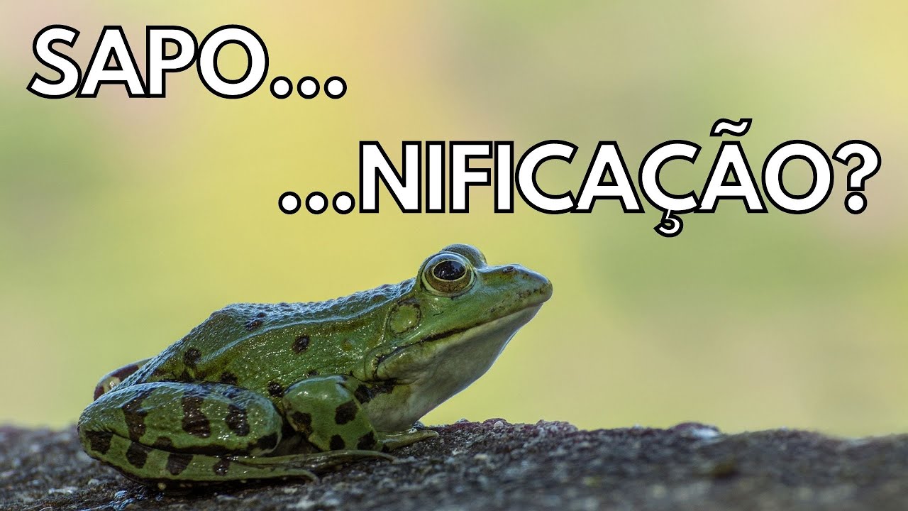 O que é Saponificação?