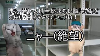 【猫ミーム】昔の葬儀社はこうだった！？！？20代の頃の先輩の話！？＃77