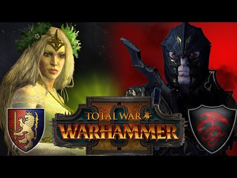 Best lord sniping faction | Bretonnia vs Vampire Counts | Total War: Warhammer 2