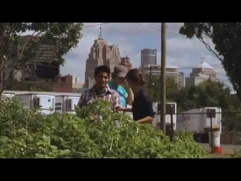 Urban Roots Trailer
