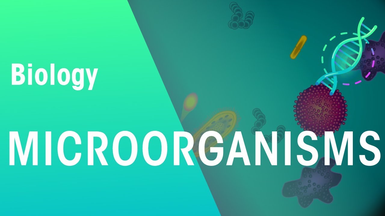 Microorganisms | Genetics | Biology | FuseSchool - YouTube