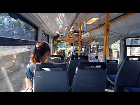 Forest Coach Lines - 8446 - Mercedes 0405NH/CC 550[Northmead](194 - St Ives)