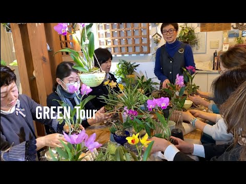 園芸 植物とスパイス