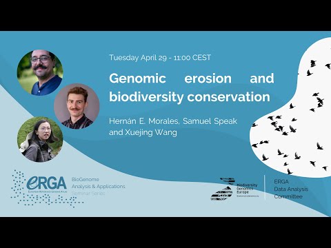 Genomic erosion and biodiversity conservation