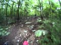 Foxboro State Forest Loop