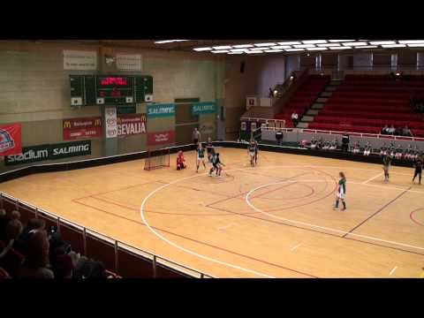 Göteborg Cup Innebandy Final 2015