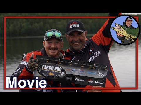 🎣 PERCH PRO 9 CWC FISHING TEAM COMPILATION  🎥 vissen op roofvis | perch fishing | baars vissen #74