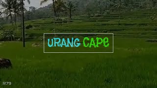 Download lagu Story lagu Sunda || Story WA Quotes Sunda sedih mp3
