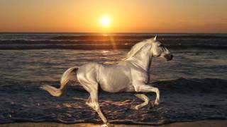 Deep Purple - A Gypsy&#39;s Kiss