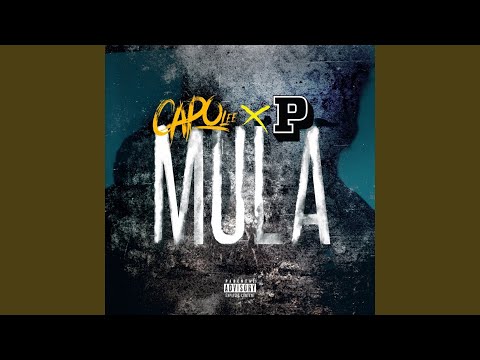 Mula (feat. P Money)
