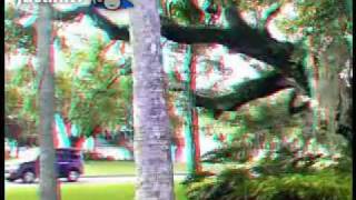 preview picture of video 'Honda 3D Anaglyph - LaBelle, Fl'