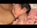 Attaching Your Baby At The Breast Malay Breastfeeding Series