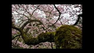 GusGus - Over (Flex Funk Remix)