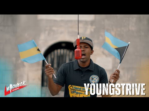 Youngstrive - 242 Freestyle | MiCheck Performance