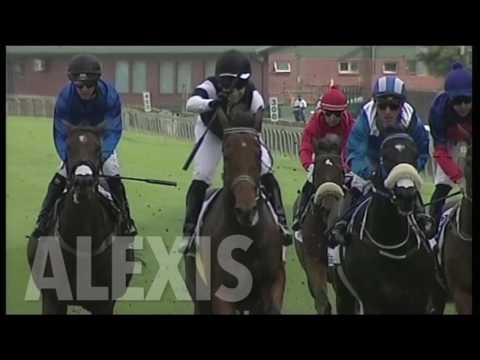 DAISY FILLIES GUINEAS  2017