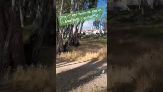Favorite Park in Murrieta, CA