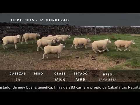 Lote 16 Corderas Texel en Ruta 14 a 3km de R8 - Paraje Retamosa