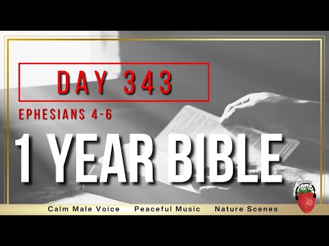 Day 343 | Ephesians 4-6 | NIV | One Year Bible