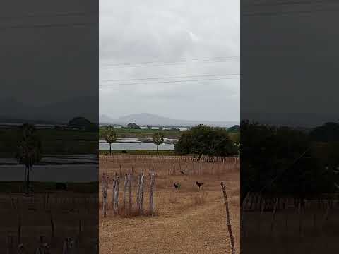 Vista de Quixelô/ Ce. . Águas do Açude Orós e ao fundoonte Cruz de Pedras em Iguatu/Cê.